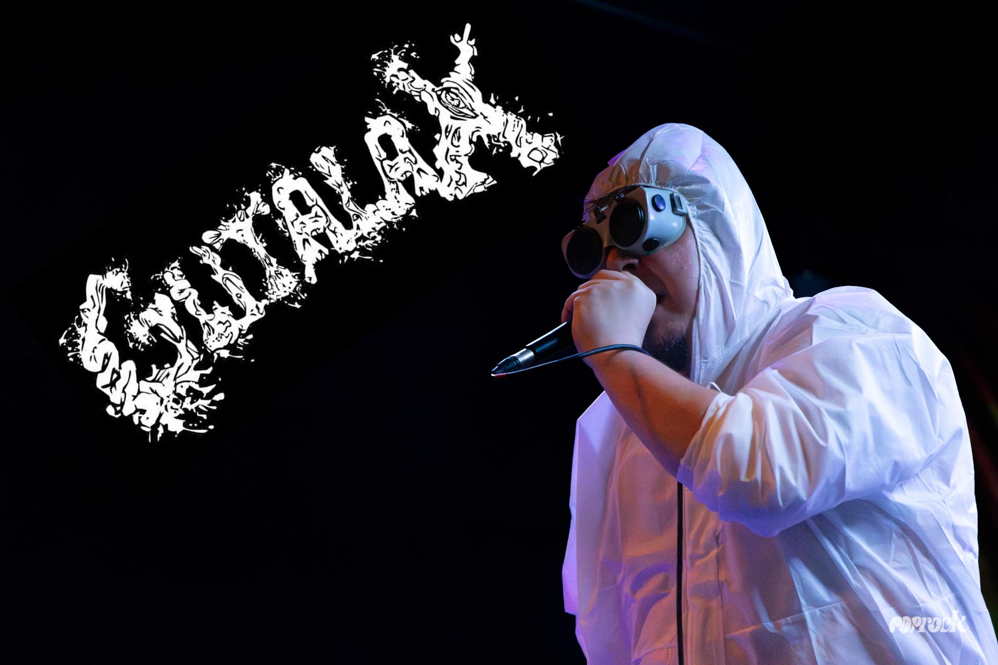 Gutalax, Spasm, guineapig i VxPxOxAxAxWxAxMxCx u VIB-u