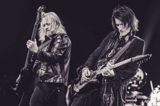 Hollywood_Vampires_Zagreb_foto_Dragutin_Andric-26