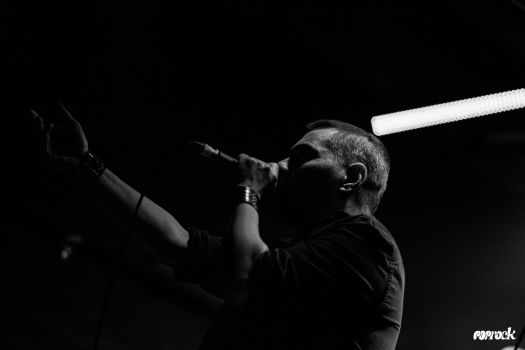 IMG_6768