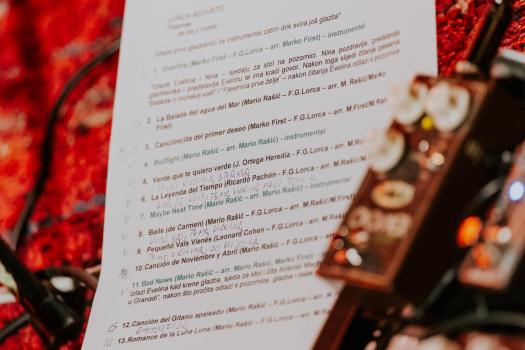 Samir-Ceric-Kovacevic_08022026_2Q7A3114