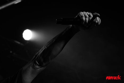 DSC07204