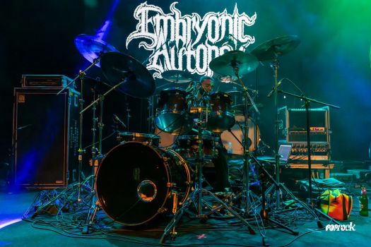 Embryonic-Autopsy-04