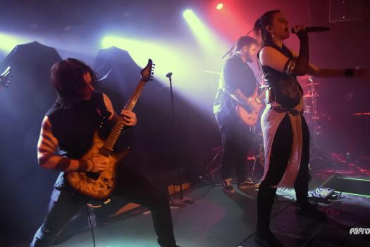Greynoise-DSC_8966