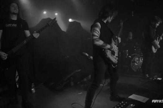 Greynoise-DSC_8968