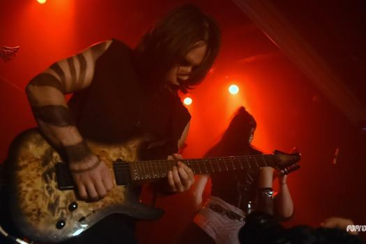 Greynoise-DSC_8972