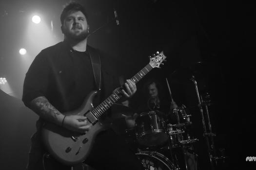 Greynoise-DSC_8985