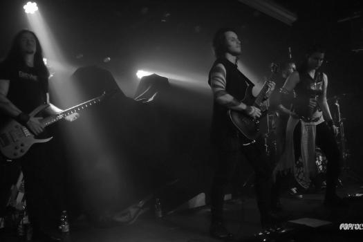 Greynoise-DSC_8999