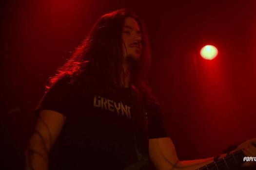 Greynoise-DSC_9344