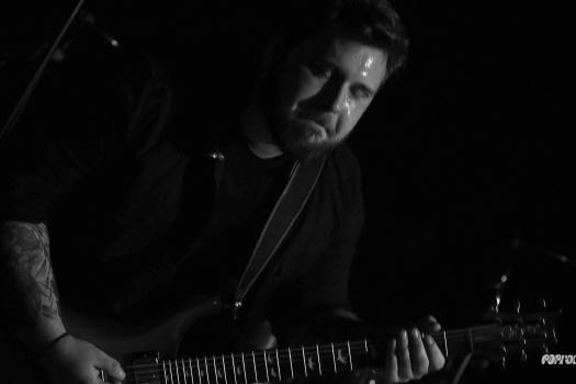 Greynoise-DSC_9359