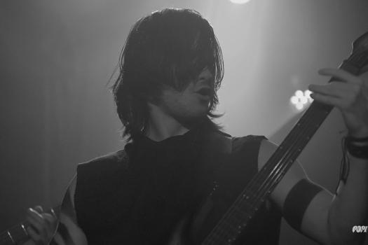 Greynoise-DSC_9361