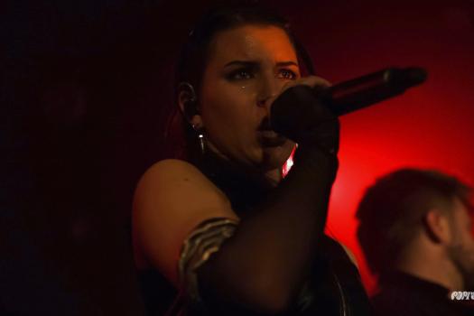 Greynoise-DSC_9364