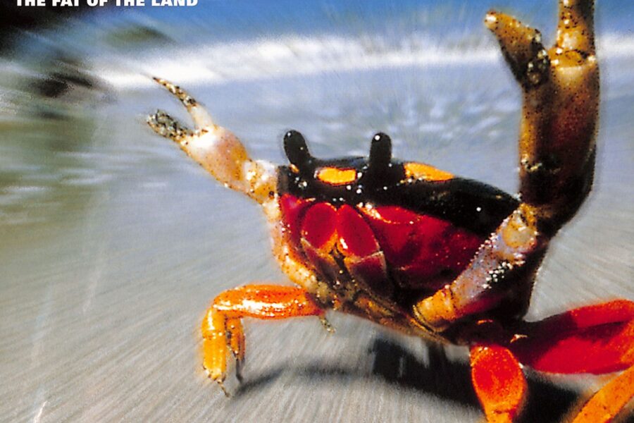 The Prodigy - The Fat Of The Land