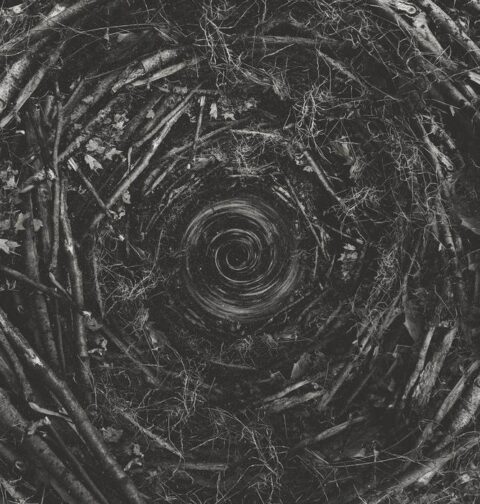 The Contortionist, Clairvoyant (naslovnica albuma)