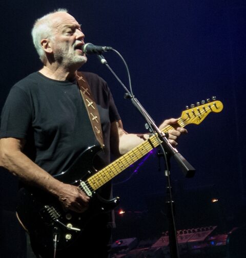 David Gilmour, Pula, foto: Mitja Groznik