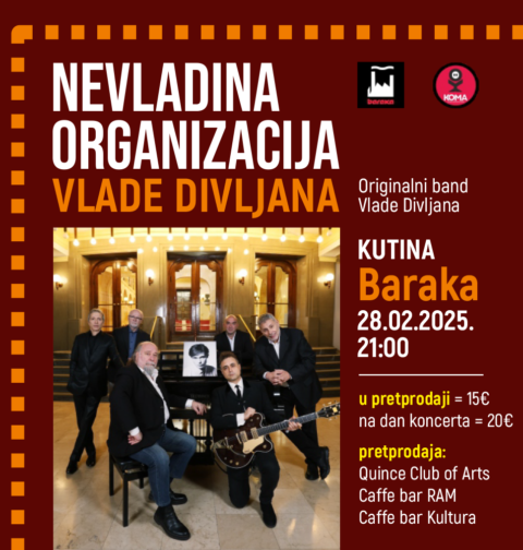 Nevladina Organizacija Vlade Divljana (foto: promo)