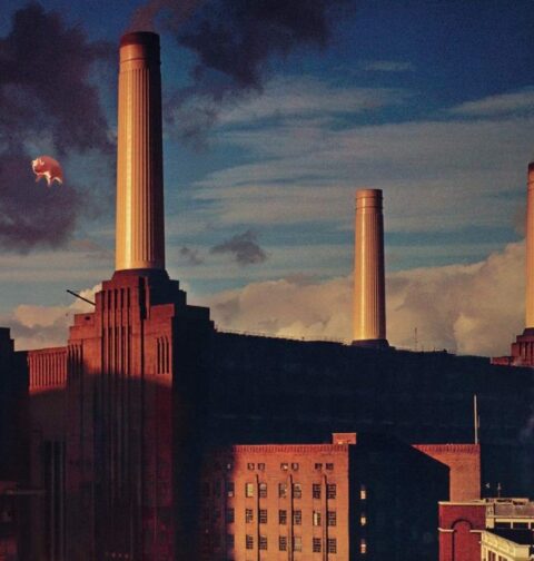 Pink Floyd - Animals