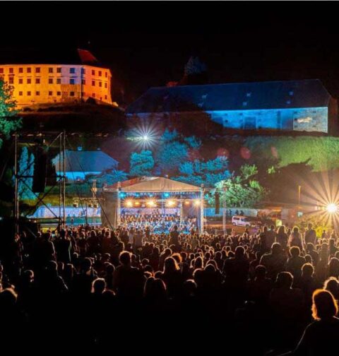Arsana Festival, promo foto