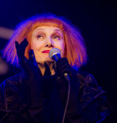 Josipa Lisac u Lisinskom 2017., foto: Dragutin Andric