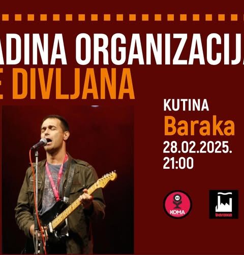Nevladina organizacija Vlade Divljana, promo foto