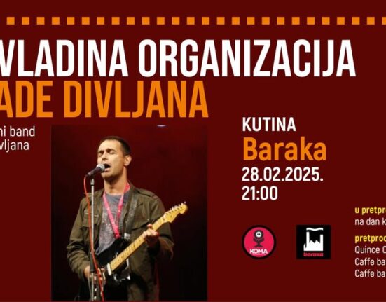 Nevladina organizacija Vlade Divljana, promo foto