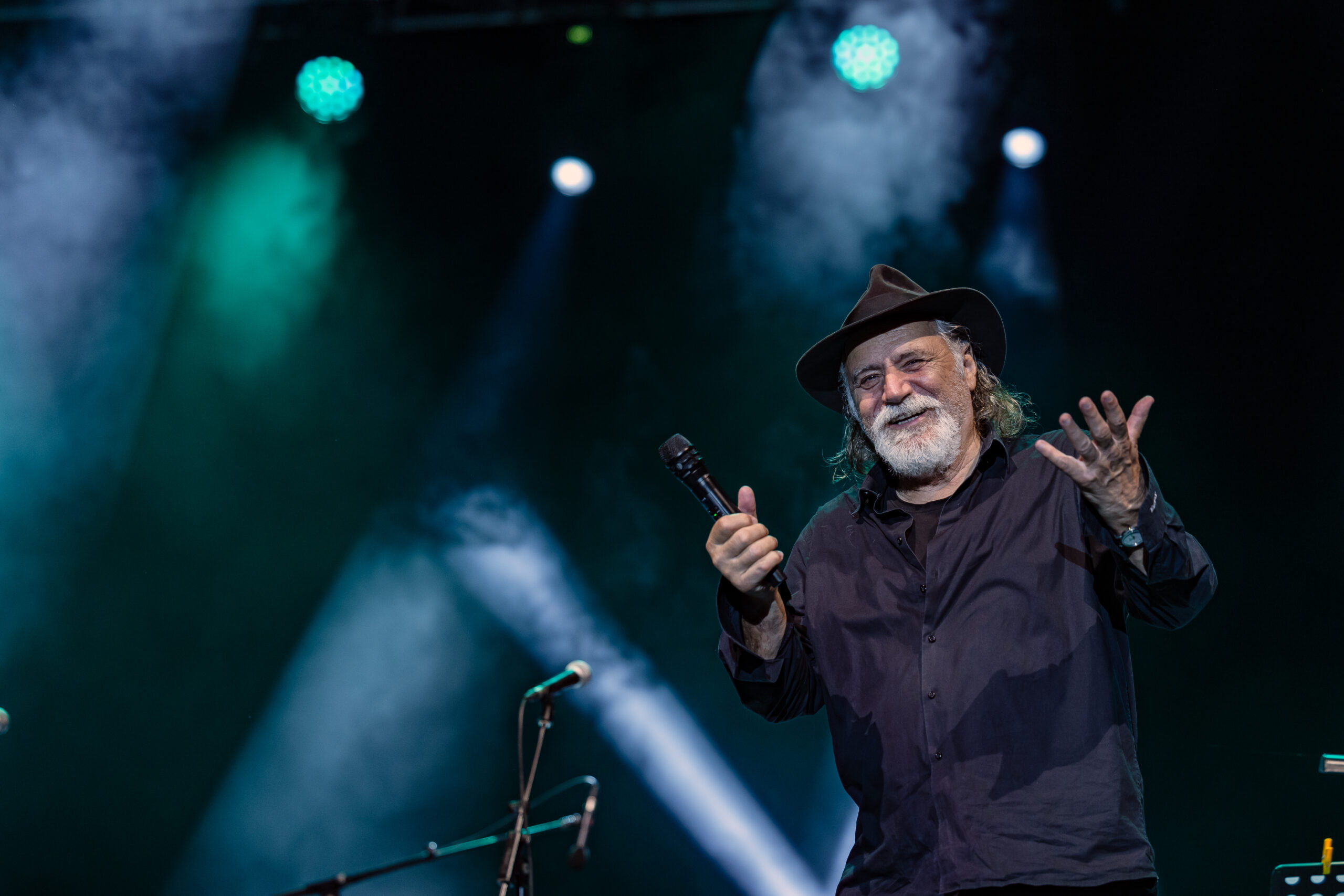 Rade Šerbedžija, promo foto