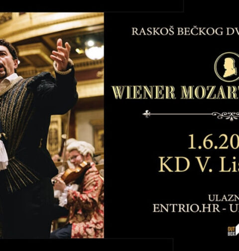 Wiener Mozart Orchester, promo foto