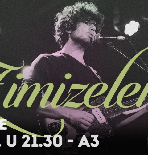 Zimzelen, promo foto