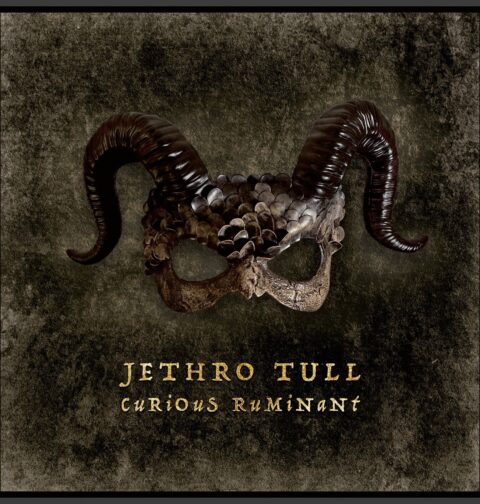 Jethro Tull - Curious Ruminant