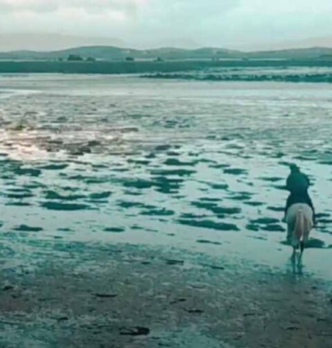 Ocean, foto by Youtube screenshot