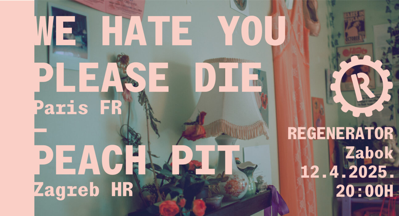 We Hate You Please Die (foto: promo)