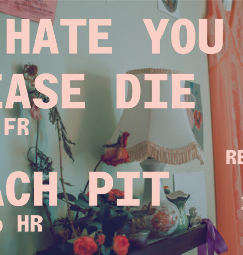 We Hate You Please Die (foto: promo)