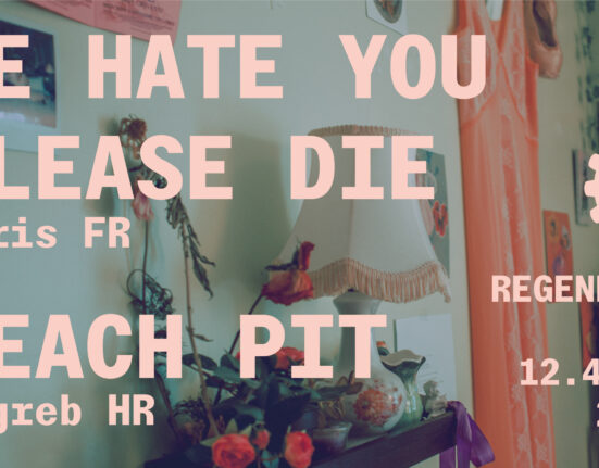 We Hate You Please Die (foto: promo)
