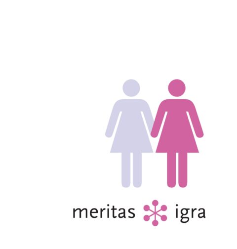 Meritas - Igra, dizajn: Dejan Kršić & Ruta
