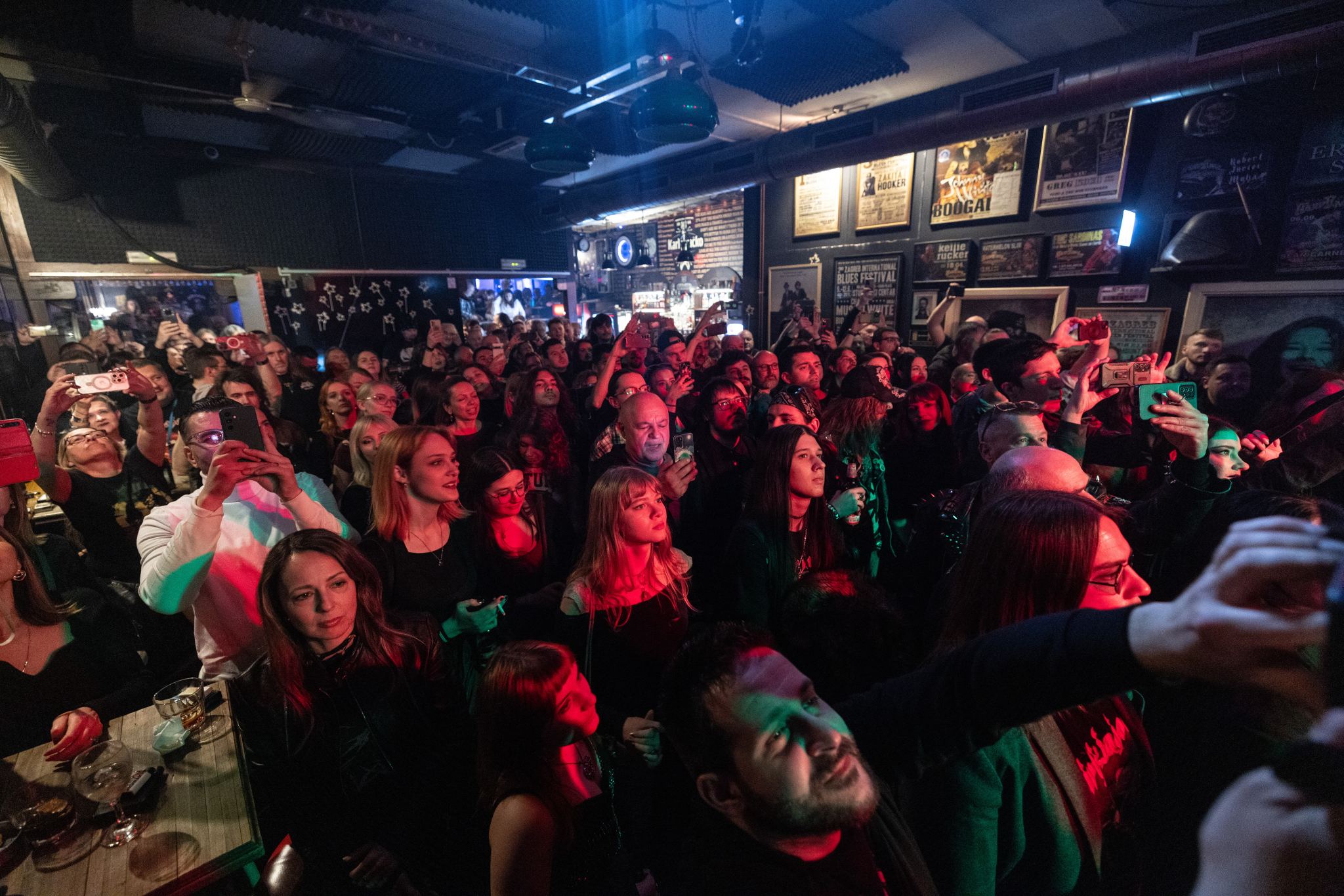 Divlje jagode, foto: Croatia Records