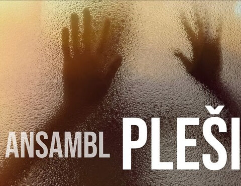 c ansambl, foto: promo