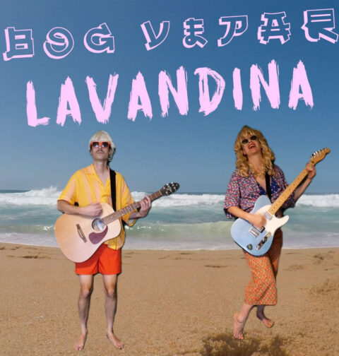 Bog Vepar - Lavandina
