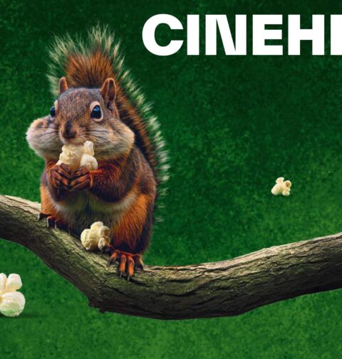 Cinehill (foto: promo)