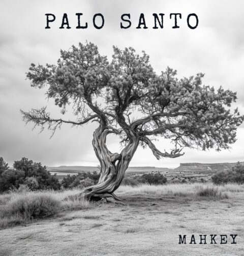 Naslovnica albuma Palo Santo grupe Mahkey