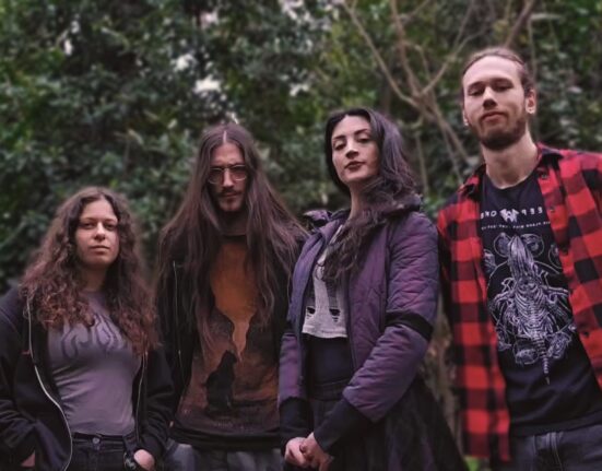 Nikola's Cage, promo photo