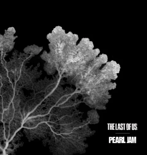 Pearl Jam - The Last Of Us