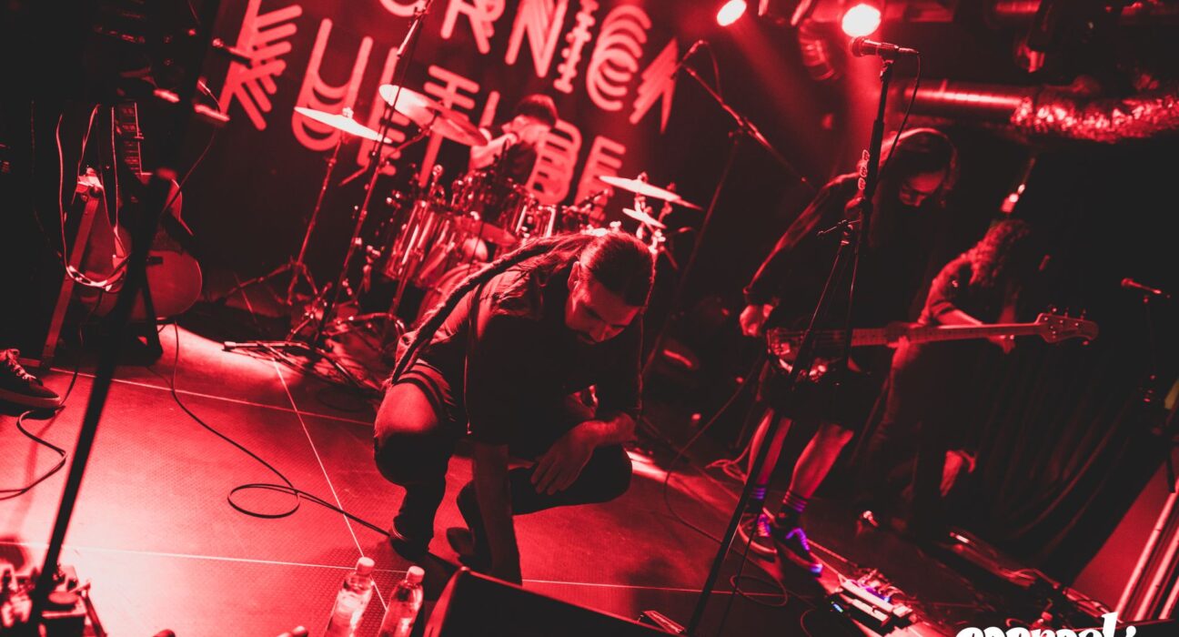 Mile Mijač u Tvornici kulture, foto: Adrijan Vujica Marković