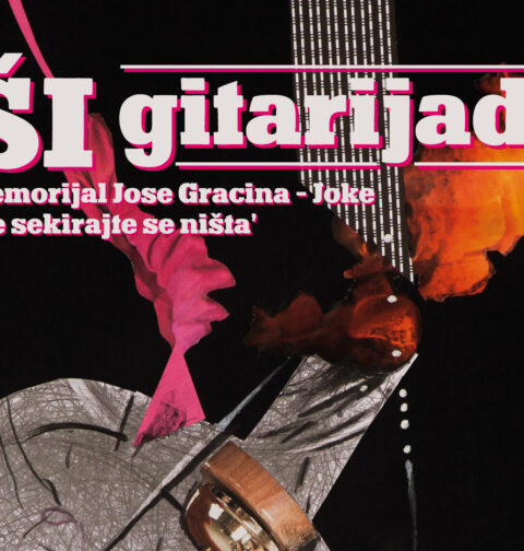 ŠI gitarijada (foto: promo)