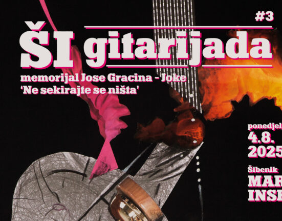 ŠI gitarijada (foto: promo)