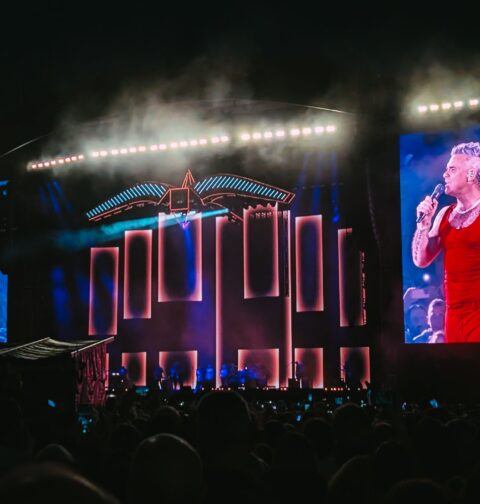 Robbie Williams u Beču, foto: Vojislav Nikolić