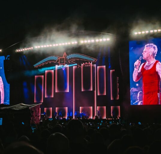 Robbie Williams u Beču, foto: Vojislav Nikolić