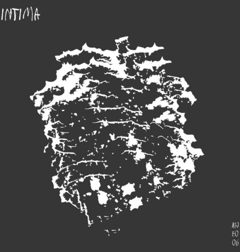 Sven Nalis - Intima