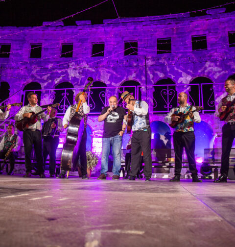 Đorđe Balašević u pulskoj Areni 2019., foto: Dragutin Andrić (arhiva SoundGuardian)