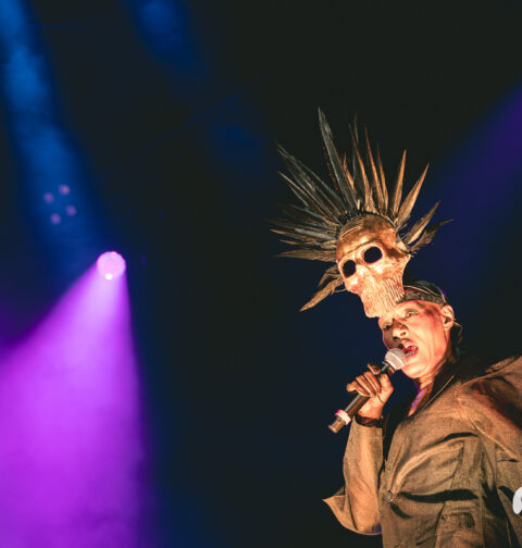 Grace Jones, Arena, Pula, (foto: Marko Hajdarović)