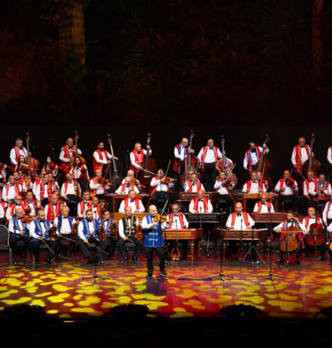 100 violina (foto: promo)
