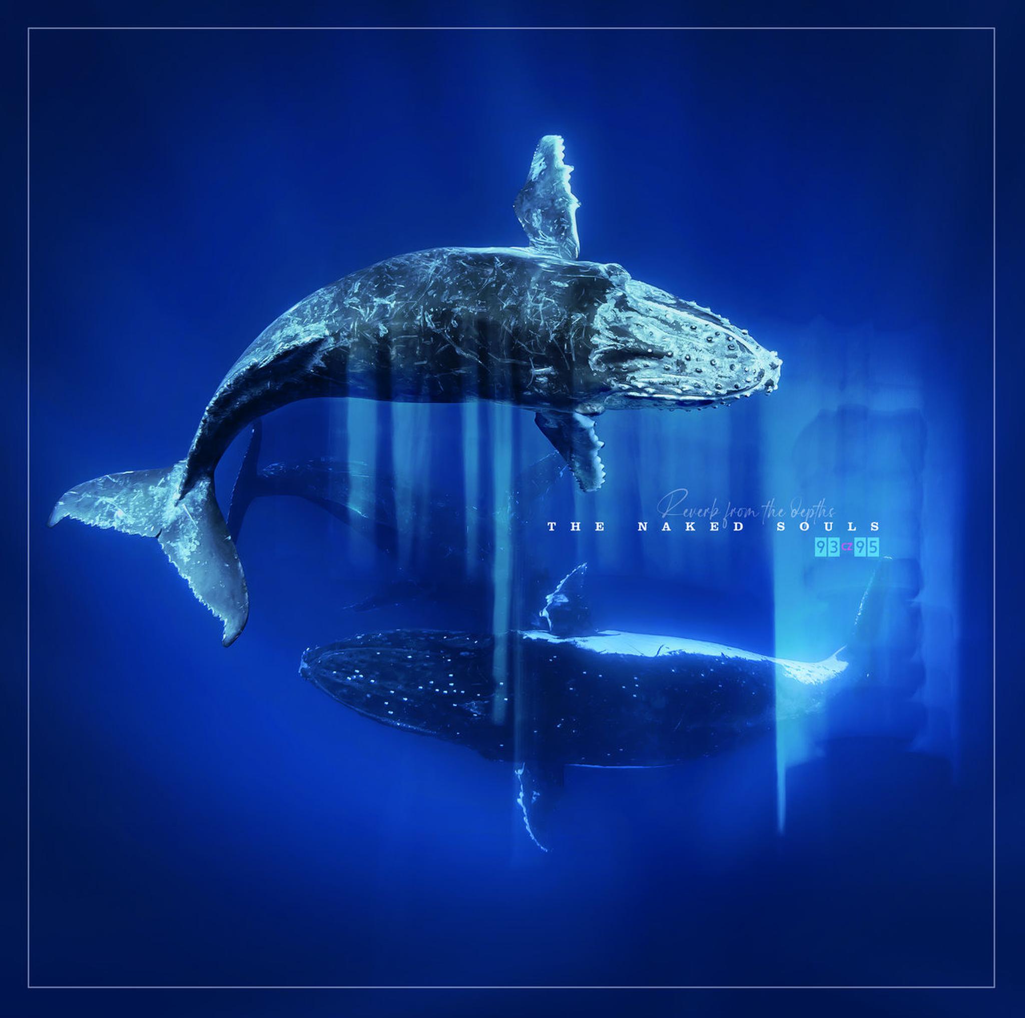 The Naked Souls - Reverb From The Depths